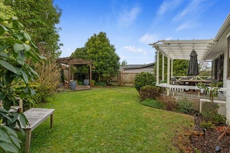 Photo of property in 28 Culverdon Street, Dinsdale, Hamilton, 3204