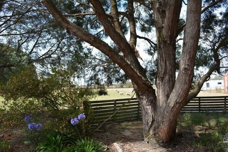 Photo of property in 249 Oxford Road, Fernside, Rangiora, 7471