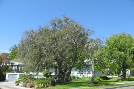 Photo of property in 13 Bay View Road, Atawhai, Nelson, 7010