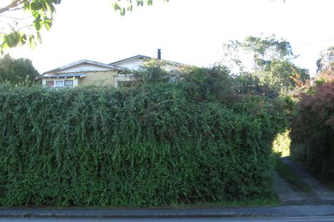 Photo of property in 61 Arapuni Street, Putaruru, 3411