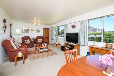 Photo of property in 41 Derby Street, Feilding, 4702