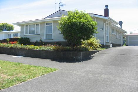 Photo of property in 17 Haggitt Street, Feilding, 4702