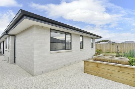 Photo of property in 5 Clare Street, Woodend, 7610