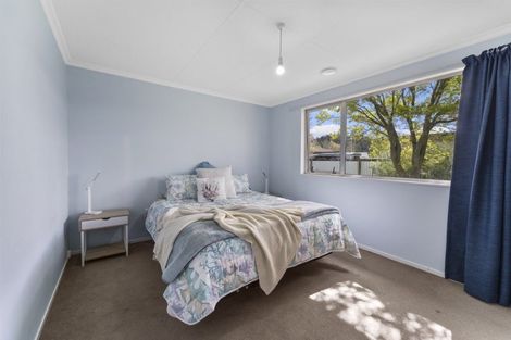 Photo of property in 50 Antimony Crescent, Cromwell, 9310