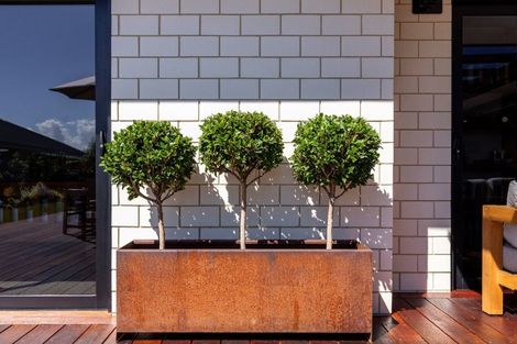 Photo of property in 22a Waipuna Street, Mayfield, Blenheim, 7201