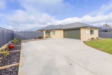 Photo of property in 17 Bell Street, Otane, 4202