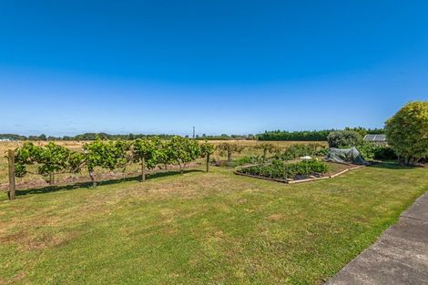 Photo of property in 168 Parewanui Road, Bulls, 4894