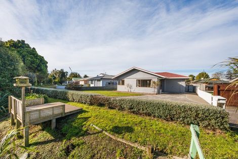 Photo of property in 12 South Street, Feilding, 4702