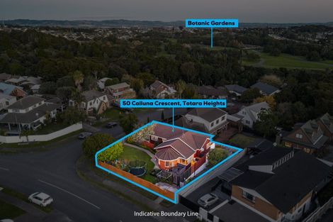 Photo of property in 50 Calluna Crescent, Totara Heights, Auckland, 2105