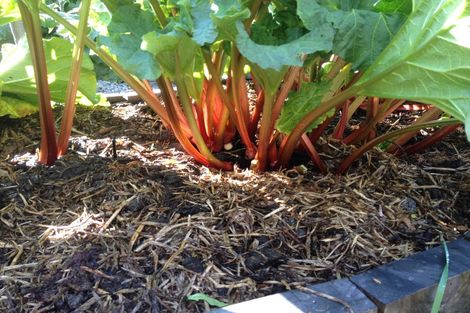 Photo of property in 8 Ocean View Terrace, Sumner, Christchurch, 8081