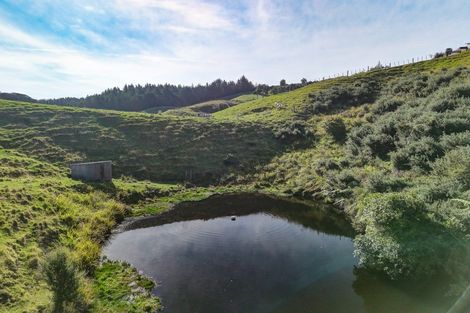 Photo of property in 1202 State Highway 3, Kai Iwi, Whanganui, 4574