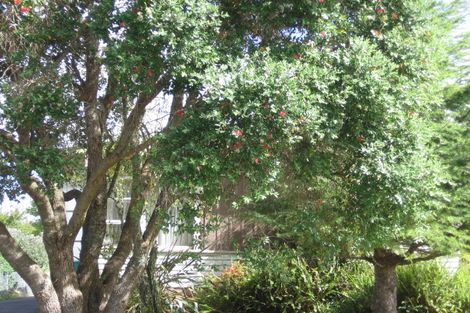 Photo of property in 65 Fairclough Road, Beach Haven, Auckland, 0626