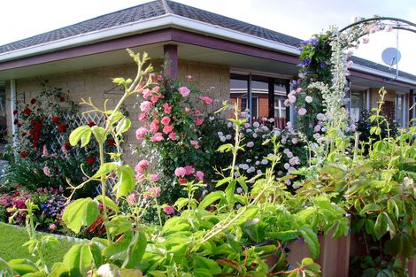 Photo of property in 28a Killarney Street, Waitati, 9085