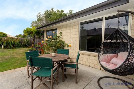 Photo of property in 81 Johns Road, Belfast, Christchurch, 8051