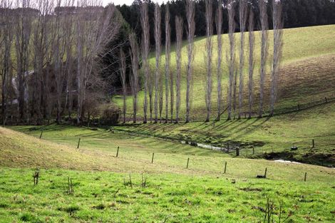 Photo of property in 118 Old Port Road, Warepa, Balclutha, 9273