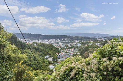 Photo of property in 152 Raroa Road, Aro Valley, Wellington, 6012
