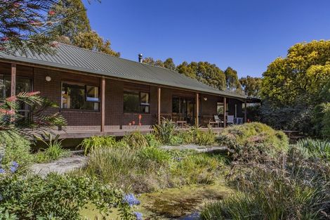 Photo of property in 40 Maskells Road, Balcairn, Amberley, 7481