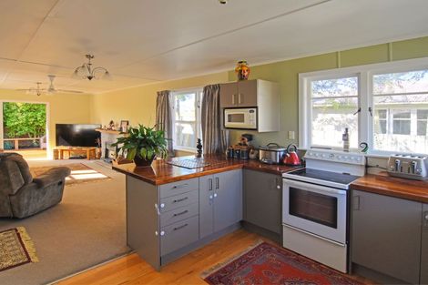 Photo of property in 60 Cockburn Street, Kuripuni, Masterton, 5810