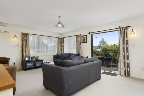 Photo of property in 58b Esk Street, Parkvale, Tauranga, 3112