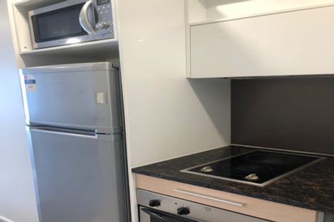 Photo of property in Luna Apartments, 4c/16 Burton Street, Grafton, Auckland, 1010