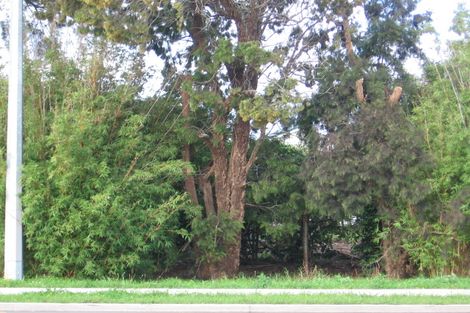 Photo of property in 97 Lincoln Road, Henderson, Auckland, 0610