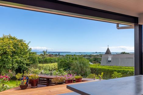 Photo of property in 10 Highfield Grove, Richmond, 7020