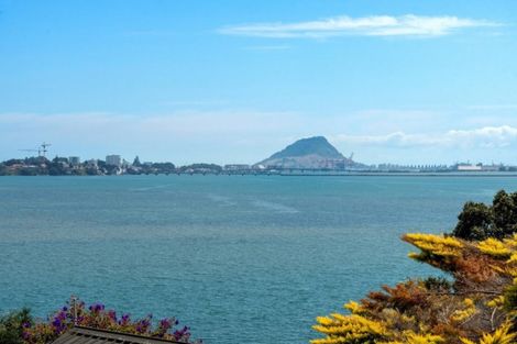 Photo of property in 266 Maungatapu Road, Maungatapu, Tauranga, 3112