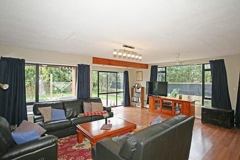 Photo of property in 25 Taumutu Road, Southbridge, 7602