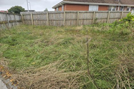 Photo of property in 3 Hinton Place, Roslyn, Palmerston North, 4414