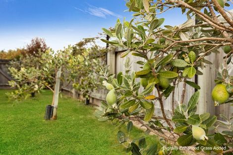 Photo of property in 11 Buick Street, Redwoodtown, Blenheim, 7201