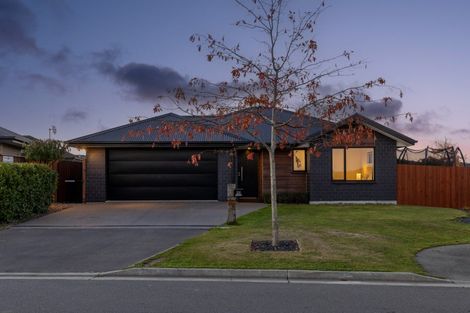 Photo of property in 93 Sunline Avenue, Lincoln, 7608