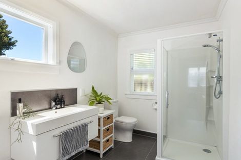 Photo of property in 131 Lemon Street, New Plymouth, 4312