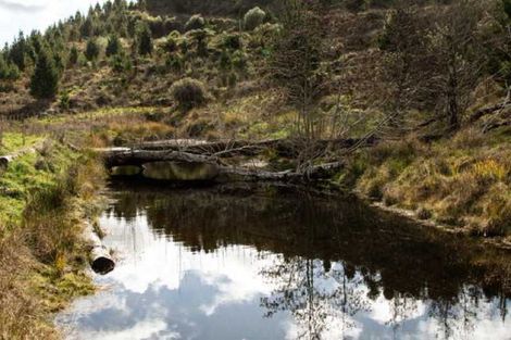 Photo of property in 81d Middle Road, Tohunga Junction, Raetihi, 4696