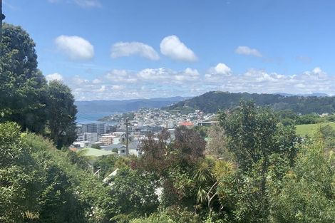 Photo of property in 23 Mortimer Terrace, Aro Valley, Wellington, 6021