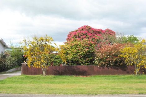 Photo of property in 25 Motutahae Street, Taupo, 3330