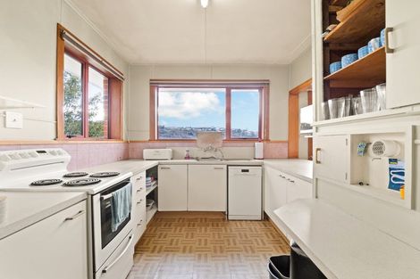 Photo of property in 51 Sidey Street, Calton Hill, Dunedin, 9012