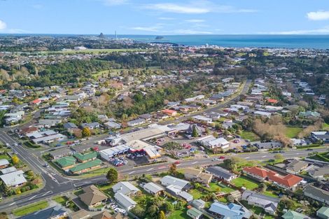 Photo of property in 205 Mangorei Road, Merrilands, New Plymouth, 4312