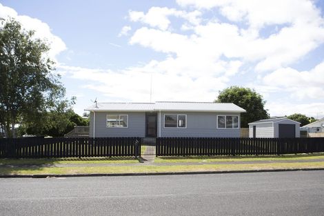 Photo of property in 161 Pollard Drive, Te Awamutu, 3800