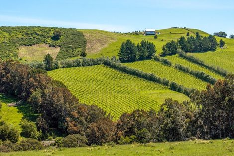 Photo of property in 88a Onetangi Road, Waiheke Island, 1971