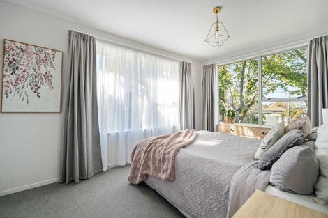 Photo of property in 1/53 Mathesons Road, Phillipstown, Christchurch, 8011