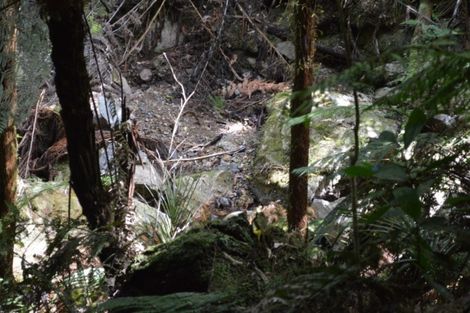 Photo of property in 1455 Buffalo Road, Coromandel, 3506