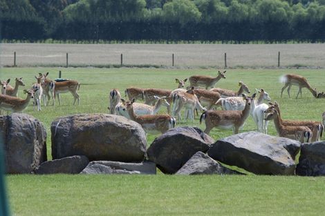 Photo of property in 18 Meadowlinks Lane, Pleasant Point, 7974