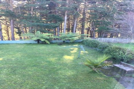 Photo of property in 11 York Place, Cannons Creek, Porirua, 5024