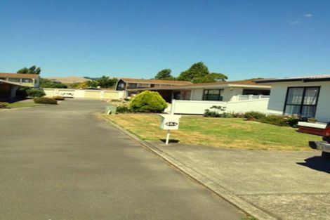 Photo of property in 45a Middle Road, Havelock North, 4130