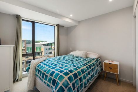 Photo of property in Vsp South, 901/168 Victoria Street, Te Aro, Wellington, 6011