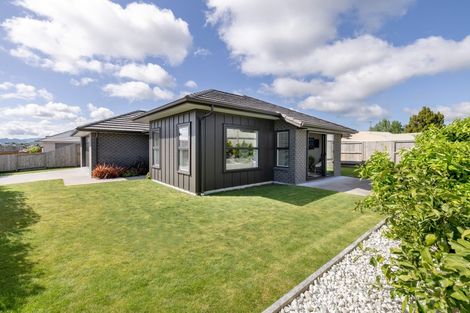 Photo of property in 6 Coad Lane, Pyes Pa, Tauranga, 3112
