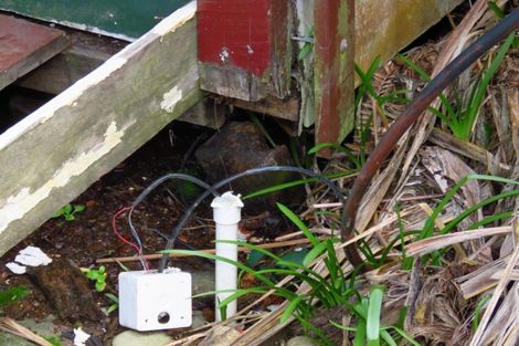 Photo of property in 9 Main Road, Hector, 7822