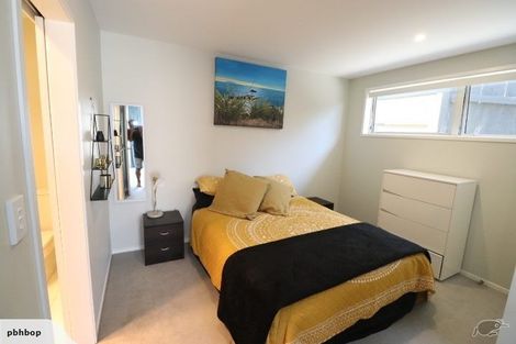 Photo of property in 47b Campbell Road, Mount Maunganui, 3116