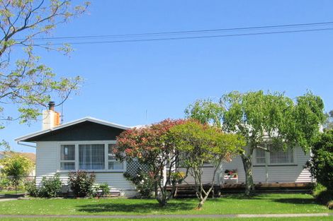 Photo of property in 8 Greenwood Street, Mangapapa, Gisborne, 4010