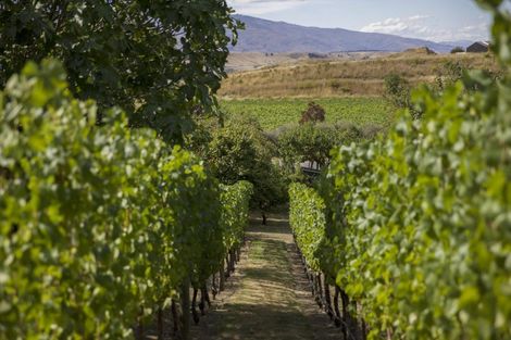 Photo of property in 45 Domain Road, Bannockburn, Cromwell, 9384